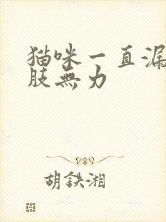 猫咪一直漏尿四肢无力