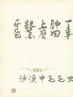 牙龈上肿了一个包怎么回事