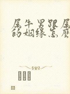 属牛男跟属兔女的姻缘怎么样封面