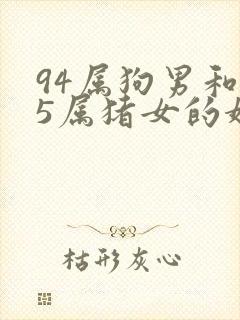 94属狗男和95属猪女的婚姻相配吗