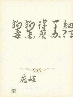 狗狗得了细小病毒怎么办?该如何治疗?