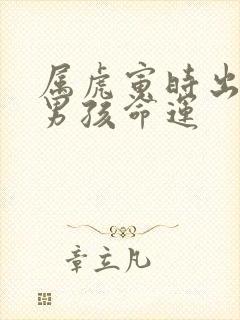 属虎寅时出生的男孩命运