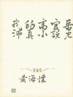 我的高官岳母苏沛真小说免费阅读