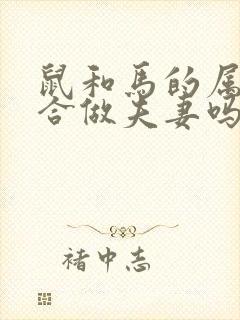 鼠和马的属相适合做夫妻吗