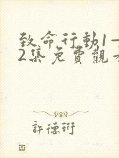 致命行动1—42集免费观看