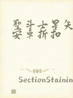 圣斗士星矢重生安卓折扣