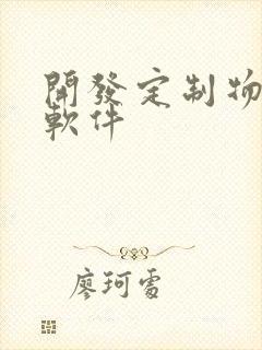 开发定制物联网软件