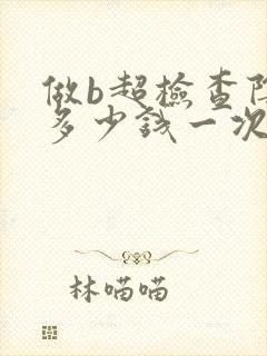 做b超检查阴道多少钱一次