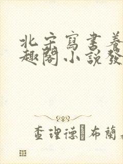 北宋写书养家笔趣阁小说发了