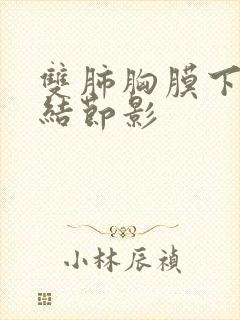 双肺胸膜下散在结节影封面