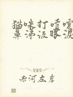 猫咪打喷嚏流清鼻涕流眼泪封面