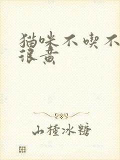 猫咪不吃不喝尿很黄封面