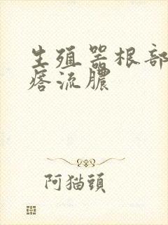 生殖器根部长疙瘩流脓