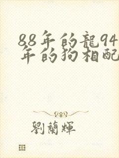 88年的龙94年的狗相配