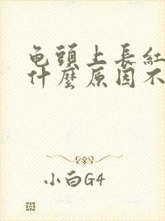 龟头上长红痘是什么原因不痛不痒