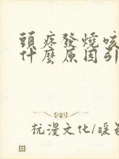 头疼发烧咳嗽是什么原因引起的