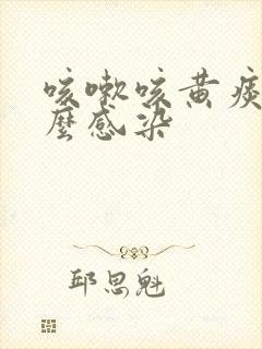 咳嗽咳黄痰是什么感染