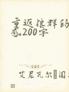 重返狼群的观后感200字