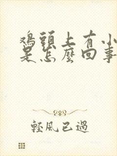 鸡头上有小疙瘩是怎么回事封面