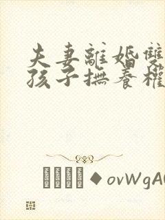 夫妻离婚双胞胎孩子抚养权怎么判定