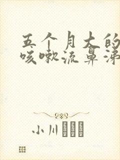 五个月大的婴儿咳嗽流鼻涕怎么办