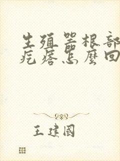 生殖器根部长硬疙瘩怎么回事