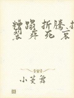 糟蹋 折腾 撕裂 疼 死 哀求封面