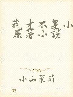 我才不是小可怜原著小说