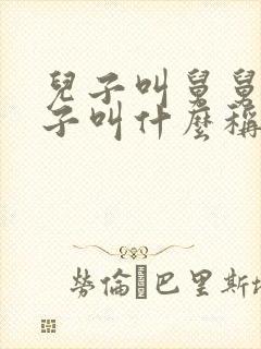 儿子叫舅舅的儿子叫什么称呼