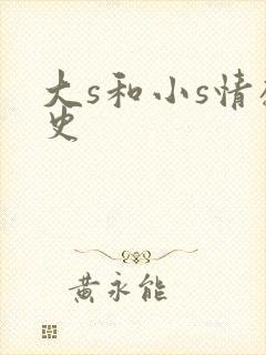 大s和小s情感史