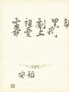 电视剧 黑帮少爷爱上我