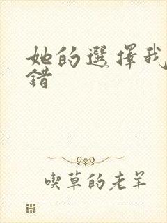 她的选择我的过错封面