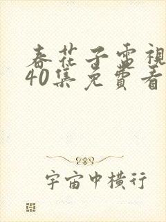 春花子电视剧全40集免费看封面