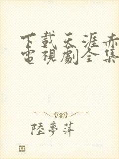 下载天涯赤子心电视剧全集封面