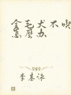 金毛犬不吃东西怎么办