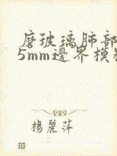 磨玻璃肺部结节5mm边界模糊