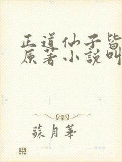 正道仙子皆为奴原著小说叫什么名字封面