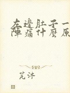 左边肚子一阵一阵痛什么原因