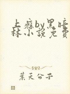 上瘾by黑暗森林小说免费