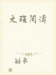文强周涛