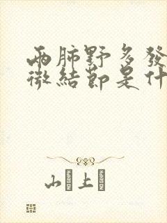 两肺野多发实性微结节是什么封面