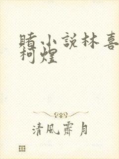 赌小说林喜朝和柯煜