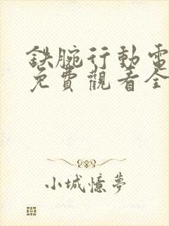 铁腕行动电视剧免费观看全集