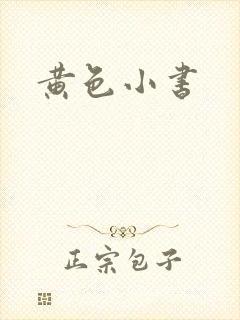 黄色小书