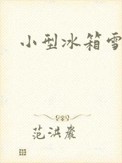 小型冰箱雪花