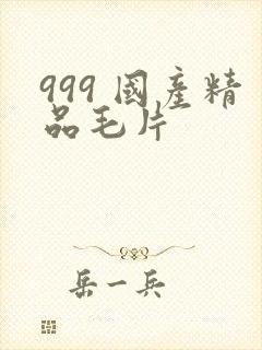 999 国产精品毛片封面