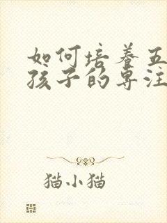 如何培养五年级孩子的专注力