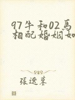 97牛和02马相配婚姻如何