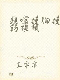 亲嘴摸胸摸下面的视频