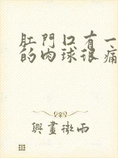 肛门囗有一粒硬的肉球很痛